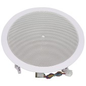 Громкоговоритель
 CSL-20T