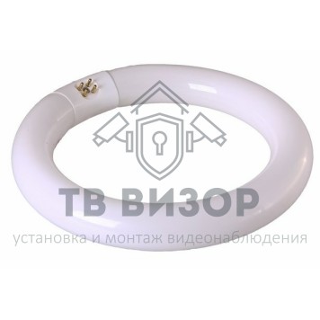 Лампа
 Лампа REXANT кольцевая люминесцентная, 22 Вт (31-0801)-0