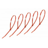 Стяжка
 Стяжкa нейлонoвая 400 x 4,8 мм, красная (упак. 25 шт) REXANT (07-0406-25)