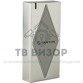 Считыватель
 TS-RDR-MF Metal-0