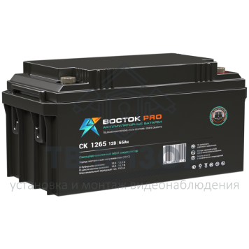 Аккумуляторная батарея
 Аккумулятор 12В 65 А∙ч (СК-1265)-0
