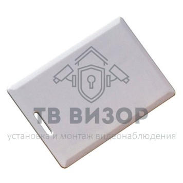Бесконтактная карта
 Temic (толстая) TS-0