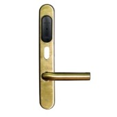 Замок электронный
 Gate-IP-Lock (IP500)