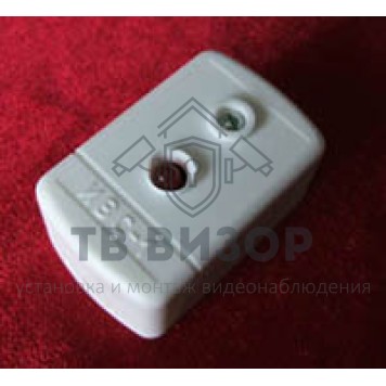 Индикатор выносной
 ИВС-1-1