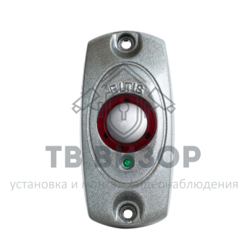 Кнопка выхода
 В-21 RAL9007 (DG 4166) (серебро)-0