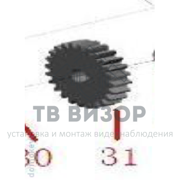 Шестерня
 AN-Motors ASL.021-0