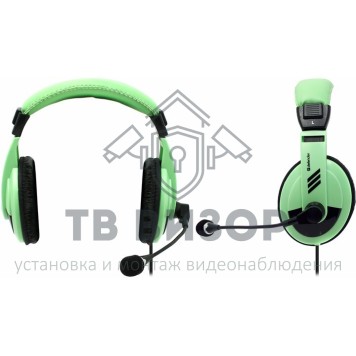 Наушники с микрофоном
 Gryphon HN-750 Green-0