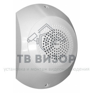 Громкоговоритель
 АРИЯ-ПС-10-0