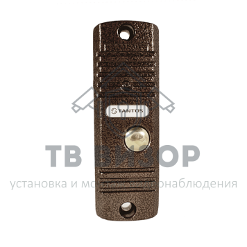 Вызывная видеопанель WALLE+ (медь) HD-0