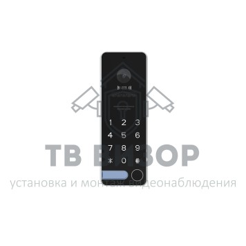 Вызывная видеопанель iPanel 2 WG (Black) EM KBD HD / уценка 2-0