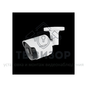 Видеокамера сетевая (IP) SMART 53-0