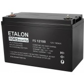 FS 12100 - Аккумулятор 12В 100 А∙ч