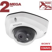 Видеокамера сетевая (IP) SV2005DM