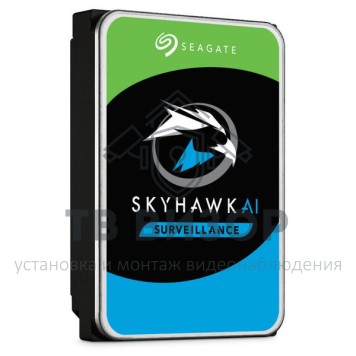 Жесткий диск (HDD) ST12000VE001-0