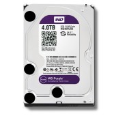 Жесткий диск (HDD) WD40PURX