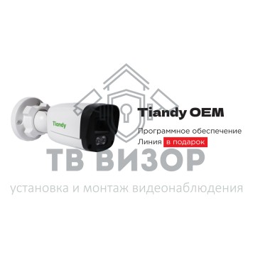 Видеокамера IP TC-C321N Spec:I3/E/Y/2.8mm 2Мп/Линия ОЕМ-0